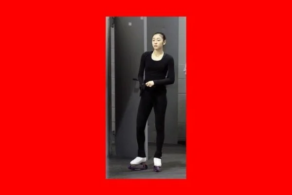 NPB中央联盟阪神虎佐藤辉本垒打火力与争冠前景赛季全局观察